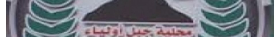 تنظيم أسواق متجولة للبيع الإلكتروني بجبل أولياء 10 IMG 20190215 224047