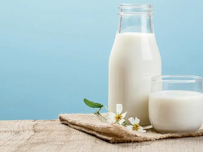 البلدية: 100% نسبة اكتفاء قطر الذاتي في قطاعي الألبان والدواجن 8 102112019image