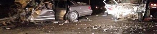 انقلاب عربة وسقوطها في ترعة المناصير تؤدي لوفاة شخصان 10 حادث