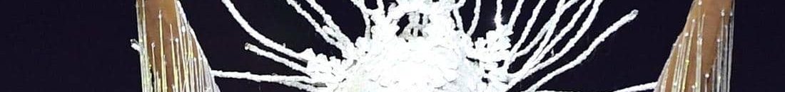 بالصورة .. تتويج الجنوب أفريقية زوزيبيني توزني ملكة جمال الكون 10 ملكة جمال