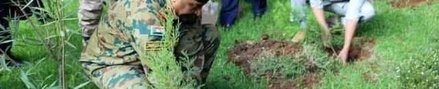 البرهان ابي