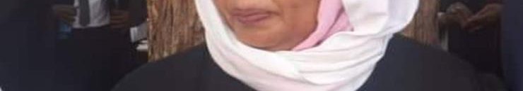 رئيس القضاء تلتقي الوفد القضائي النيجيري الزائر للبلاد 10 نعمات