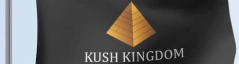 العشرات يطلبون جنسية مملكة كوش الدولة الوليدة على حدود السودان ومصر 11 مملكة كوش