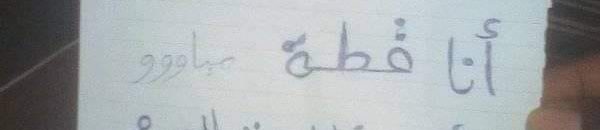 شاهد الصورة الأكثر تداولاً.. "قطة" سودانية تساند الشعب وترفع لافتة تعلن فيها مقاطعتها لأكل اللحوم 10 قطة سودانية