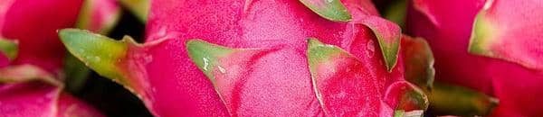 فاكهة التنين.. فوائد "مذهلة" قد لا يعرفها كثيرون 10 1 1293826