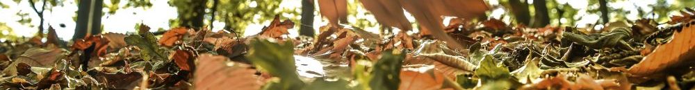 دول عربية تعمل بالتوقيت الشتوي من الأسبوع المقبل... تعرف عليها 10 1036130151