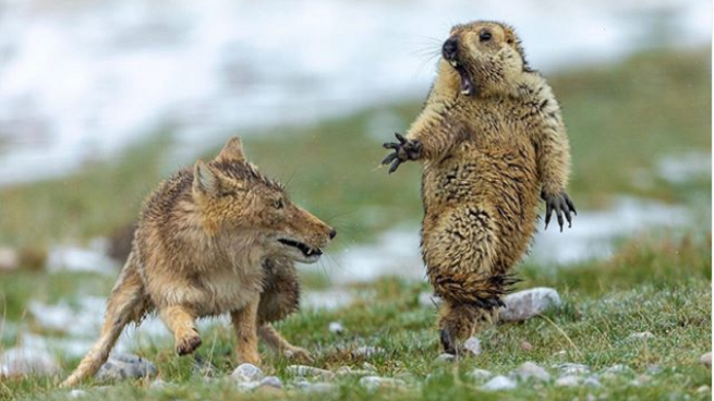 اجمل صورة 2019