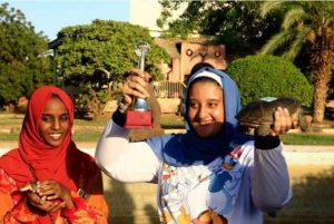 سلاحف السودان