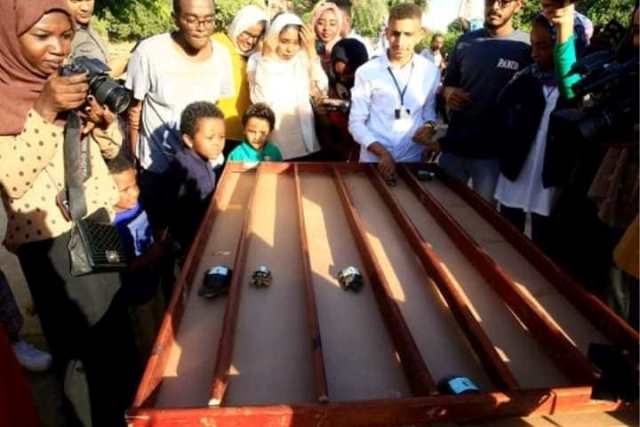 بالصور: سباق نادر لسلاحف في السودان يثير الجدل في الأسافير 11 سلاحف