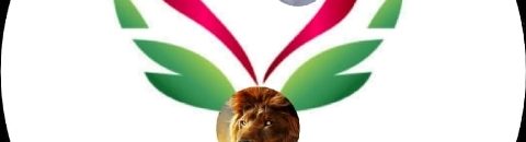 لجان لحصر الأوقاف ومراجعتها لمعرفة أين تذهب أموالها 10 الكرامة