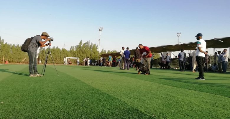 كلاب الخرطوم