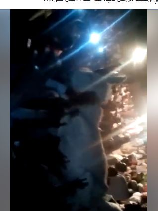 علي طريقة طاسو .. مدينة امريكية تحظر استغلال الحيوانات في الحفلات 1 حمار