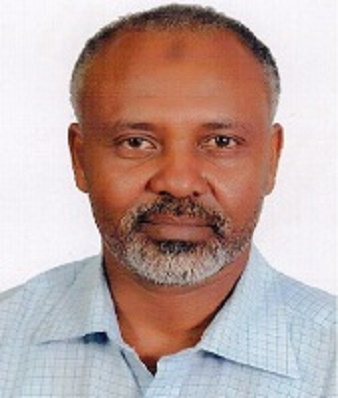 حكاية اغتيال السكة حديد .. ؟؟ 10 حمد مدني