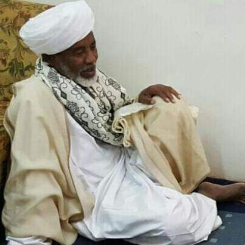 احمد الطيب
