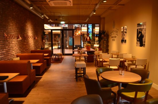 بسبب خلاف على الأجر.. طاهٍ يطلق 20 صرصورا في المطعم الذي يعمل به 10 مقهى باريستا