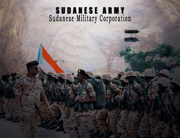 القوات المسلحة تؤكد سيطرتها على الأراضي المستردة بالفشقة 1 جيش 2