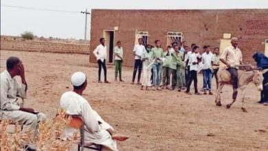 معلم يركب الحمار