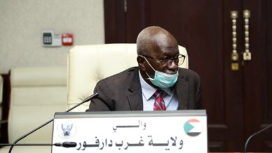 والي غرب دارفور