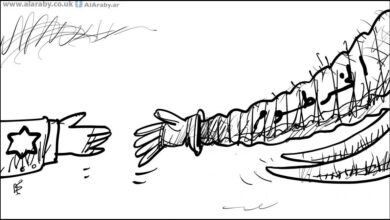 B1BDED31 87CB 41C4 B069 F42C4A3E1856.