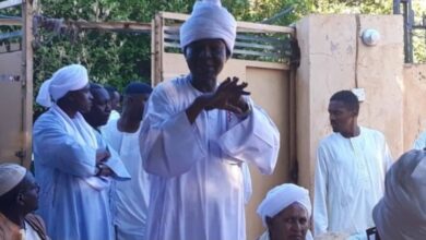 حكاية كباشي