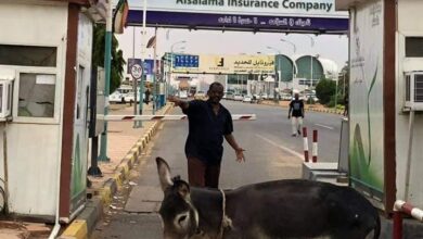 حمار في المطار