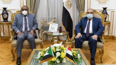 ميرغني دفاعات