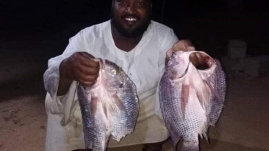 62 033748 flood fish blessing or curse sudan fish wealth 2