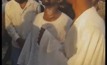 السكر حبيبة