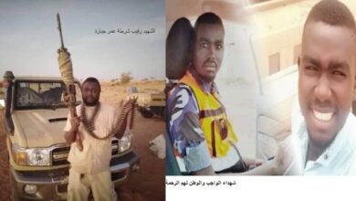 عمر جبارة2 768x415 1