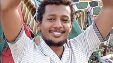 مرتضى سليمان