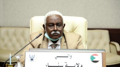 الماحي سليمان