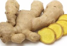 الزنجبيل لا يرفع الضغط وقد يخفضه بشكل طفيف 52 جنزبيل