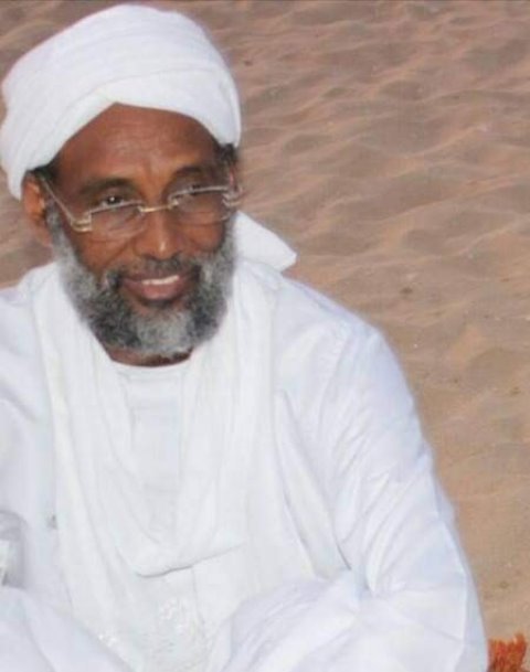 التجاني الامين