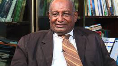 التجاني حسين