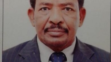 سليمان الماحي1