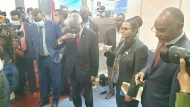 141519044 439825210796322 8650032670313476868 o 780x470 1