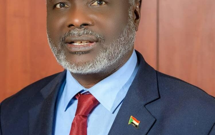 جبريل ابراهيم: جهات تضلل سوق العملة بمعلومات كاذبة 1 وزير المالية والتخطيط الاقتصادي دكتور جبريل إبراهيم