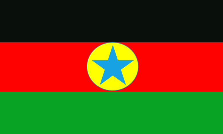 Flag of the Sudan Revolutionary Front.svg