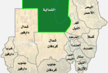 وزارة الانتاج بالشمالية تؤكد نجاح موسم الكرامة الثاني بنسبة 79% 68 الولاية الشمالية
