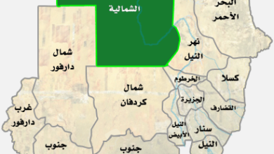الصحة بالشمالية ومنظمة ميدقلوبال يوقعان مذكرة تفاهم لدعم النظام الصحي 5 الولاية الشمالية