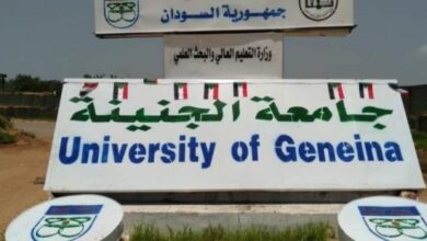 جامعة الجنينة