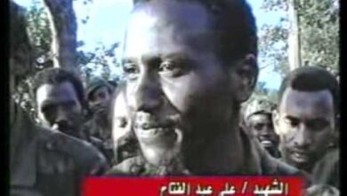 علي عبد الفتاح