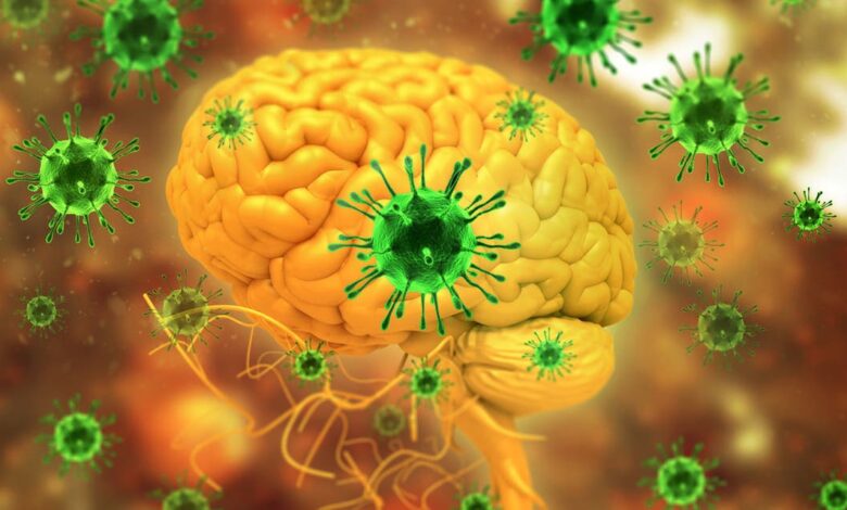 فيروس نيباه