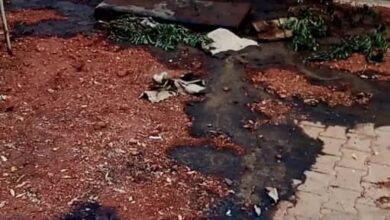 مشرحة التميز