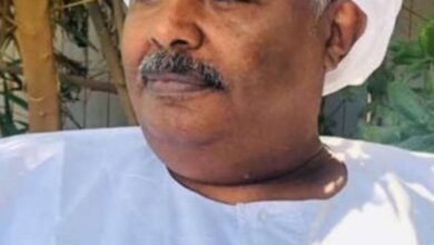 يوسف سيد احمد