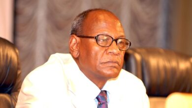 بشرى الفاضل