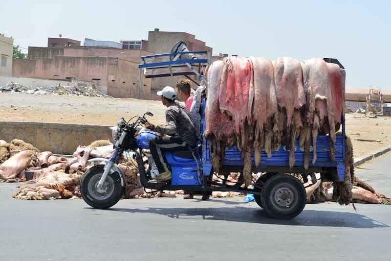 صناعة الجلود في السودان.. تحديات وفرص واعدة 10 جلد او جلود الخروف مدبغة