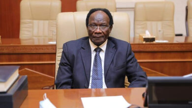 وزير الاستثمار والتعاون الدولي د.الهادي محمد إبراهيم