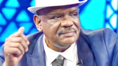 220695587 5834491663289633 3543018378904064459 n