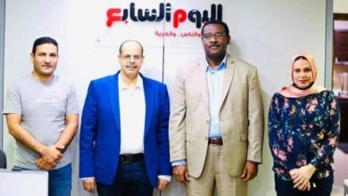 ضياء السابع